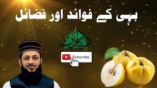 Bahi Ke Fawaid Aur Fazail | Professor Hafiz Sharafat Ali Qadri | Diyar E Deen