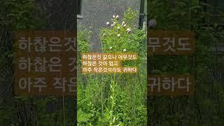 혁자TV 모든것은 귀한존재 #힐링 #삶의여정속에서
