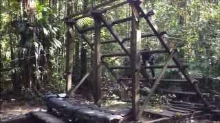 Stage d’aguerrissement au centre d’entrainement en forêt équatoriale