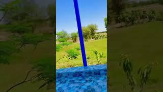 #poolparty #enjoy #masti #joy #water #spring #shortvideo  #nature #relaxing #imrankhan  #status