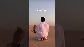 UAE Culture (video)