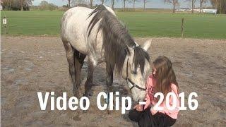 VideoClip 2016 | HorseTime