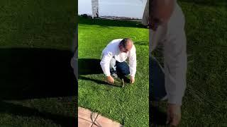 Very satisfying S seam #artificialturf #landscaping #hardscape #landscape #construction