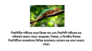 প্রাণীদের সম্পর্কে কিছু অবাক করা তথ্য || Amazing animal facts || Farjana Binte Farhad