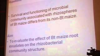 Characterization of Plant Growth Promoting Rhizobacteria (PGPR) from Field grown GM and Non-GM Maize