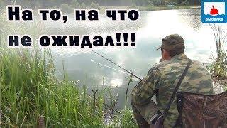 Рыбалка на крупного карася-что сработало первое?