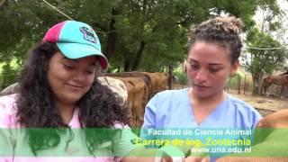 Carrera de Ing  Zootecnia|UNA-Nicaragua