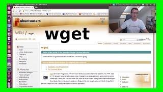 wget Anleitung howto Download - Webseite 1:1 spiegeln und lokal speichern [German] WLBI