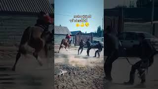 Guy does insane 360 on an uncontrolled horse  #horse #rodeo