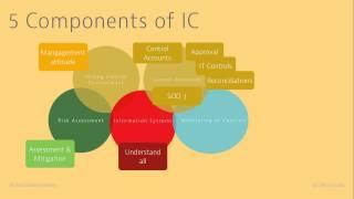 5 components of Internal Controls HD #ACCA F8