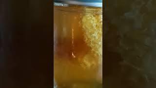 100% Pure Golden Honey  straight from my hive.