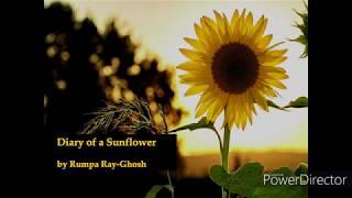 Diary of a Sunflower 