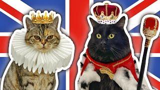 I LEGALLY Made My Cats LORD & LADY!