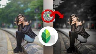 Snapseed new QR codes free Download 2024 face editing presets for Snapseed app