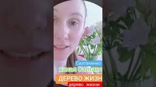 НОВОСТИ И ДЕРЕВО ЖИЗНИ #ЖИЗНЬ #иисус #новости #новостиукраины #победа #проповедник #проповедь #реки