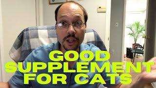 Supplement For Cats With Kidney Disease. 3 Tips For CKD Feline Health & Kidney Restore, Help Now!