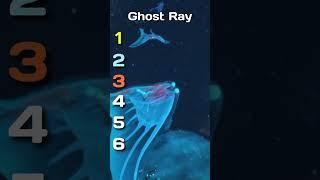 Blind Rank These Subnautica Creatures