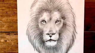 #tutorial come #disegnare un #leone se non sai disegnare. Parte prima - schema di base.