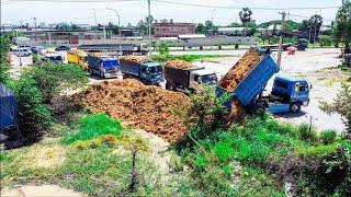 Amazing! LANDFILLING Start New Project by Excellent skill Driver Dozer KOMATSU DR51PX Push SoilRock