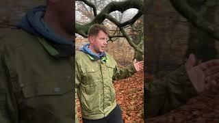 Judy Woods forest to farm