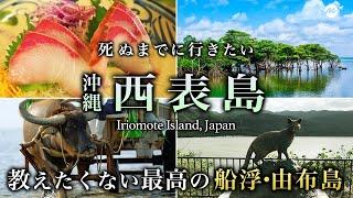 【保存版】沖縄・西表島1泊2日ひとり旅が人生最高すぎた！船浮・由布島おすすめ絶景スポット【八重山諸島・東洋のガラパゴス・グルメ・離島・旅行・観光】Iriomote Island, Japan