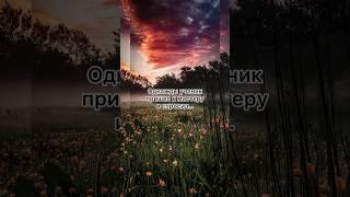 Мудрая притча о жизни