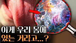 [통합과학] 탄수화물, 단백질, 지질, 핵산의 모든 것