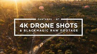 PANTANAL - MT | 4K DRONE SHOTS & BLACKMAGIC FOOTAGE