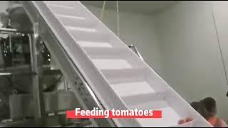 Tomato Weighing Box Filling Packing System