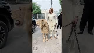 pakistani lion lover khuram riaz #pakistan #shorts