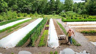 The Enormous Potential of a Small Farm | Assawaga Farm