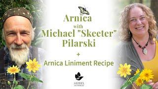 Arnica with Michael Pilarski + Arnica Liniment recipe