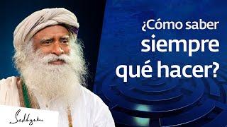 ¿Cómo saber siempre qué funciona? | Sadhguru