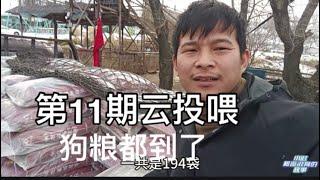 第十一期云投喂狗粮到了，一共194袋，感恩家人们参与 20250108 Dog rescue in China