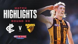 Carlton v Hawthorn Highlights | Round 22, 2024 | AFL