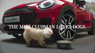 MINI CLUBMAN x DOGS | MINI Events and Partnerships | MINI UK