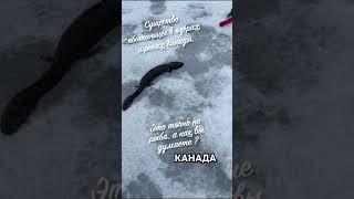 НЕОПОЗНАНОЕ СУЩЕСТВО. РЫБАЛКА В КАНАДЕ.