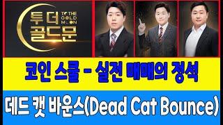 코인 스쿨 - 실전 매매의 정석/데드 캣 바운스(Dead Cat Bounce) (코인한수, 코인가드)