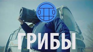 МС ХОВАНСКИЙ & СОБОЛЕВ   ПИВО ПЬЕТ by Грибы-Тает лёд