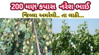 Sagar Mugat cotton. Good grooming l Good production l #khetikasagar #nilam_agro_chemicals_talaja