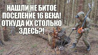 ЗДЕСЬ НИКТО НЕ КОПАЛ 500 ЛЕТ! Поиск золота с металлоискателем / Russian Digger