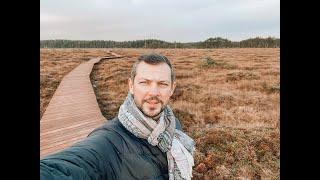 Курортный р-н СПб. Зеленогорск. Сестрорецкое болото, Эко-тропа. Обзор ресторанов