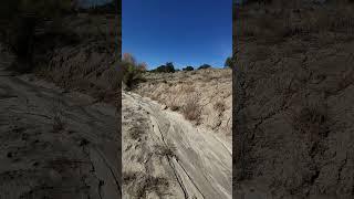 10/26/24 hike New Mexico.  Down in desert floor in a Ravine/wash. True desert style #desert #nature