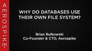 Why do Databases use their own file system?