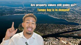 Tampa Bay Real Estate Market Update: March 2024 Trends & Insights!