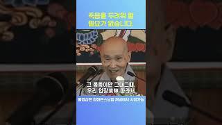 죽음을 두려워 할 필요가 없습니다.#청화스님