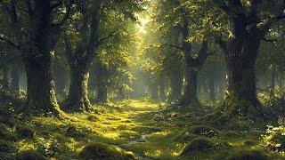 Heal the Mind with Soft Piano Music  Soothing Forest Scene for Relaxation, Meditation & Calm