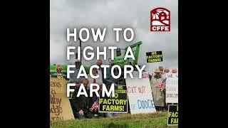 Introducing: How to Fight a Factory Farm