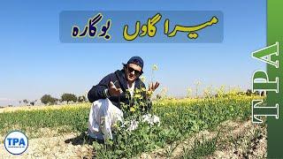 My Village Vlog | Bogara Karak | TravelPaisha by Atif |