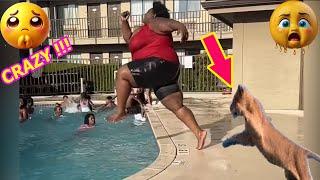 Crazy Funniest Videos Ever In The World | Try Not To Laugh Challenge | Laugh Till You Cry (Vol 15)